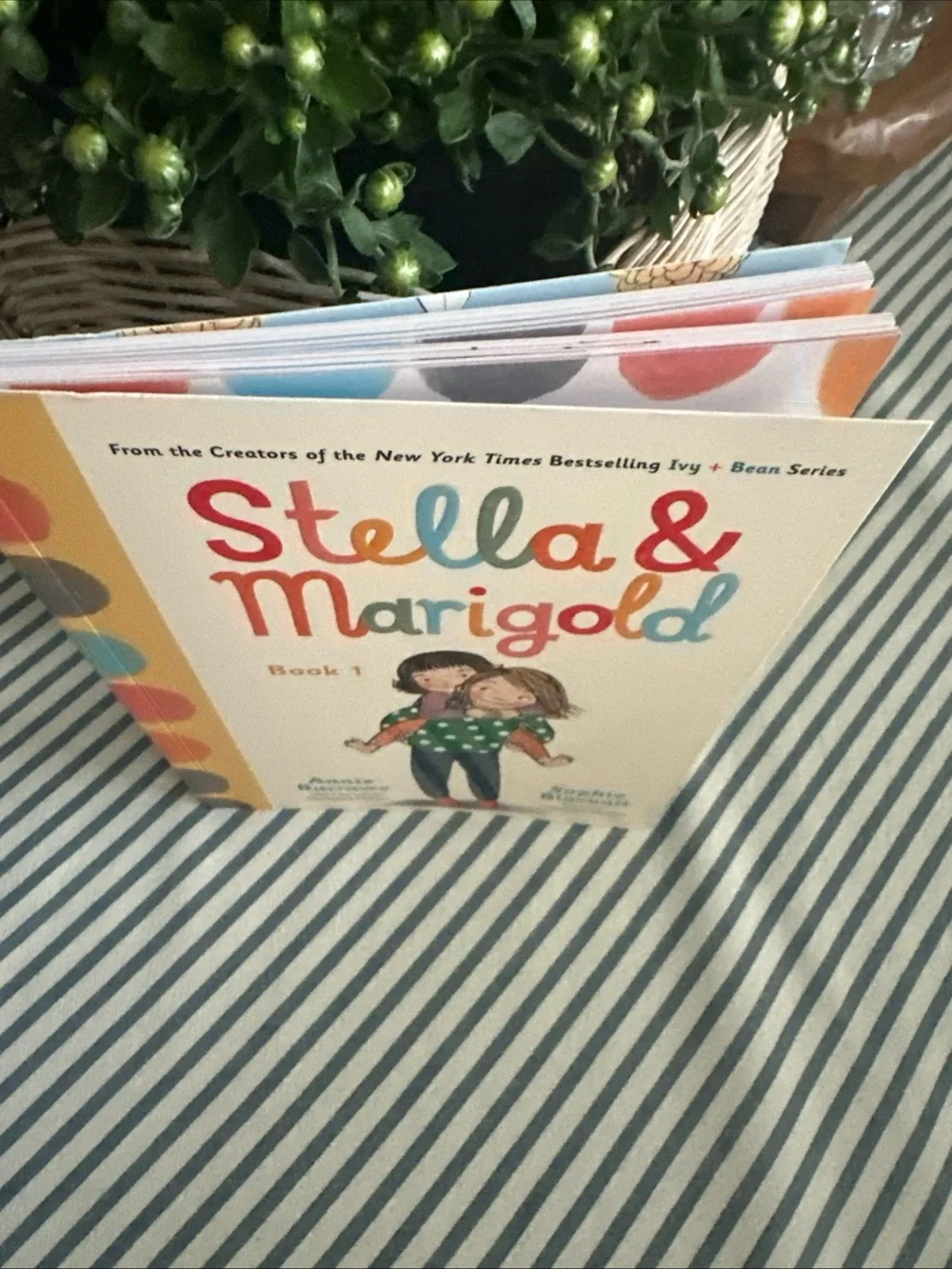 Annie Barrows stella marigold